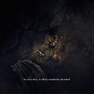 Darkwood. Изображение 4