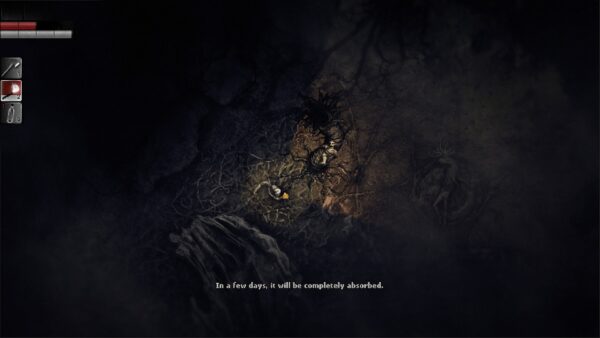 Darkwood. Изображение 4