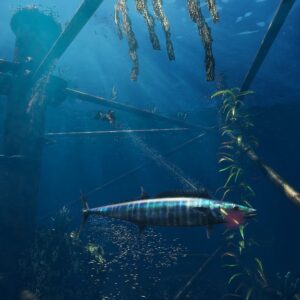 Freediving Hunter: Spearfishing the World. Изображение 3