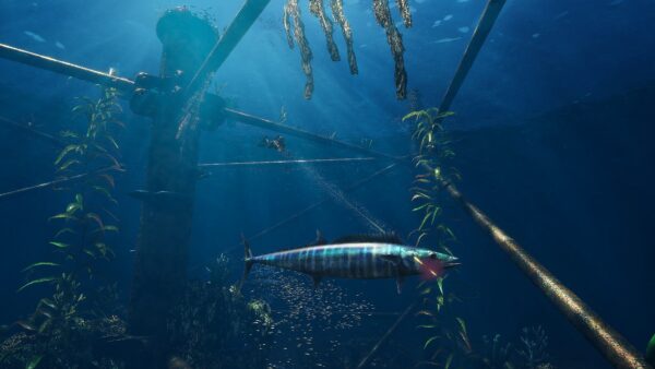 Freediving Hunter: Spearfishing the World. Изображение 3