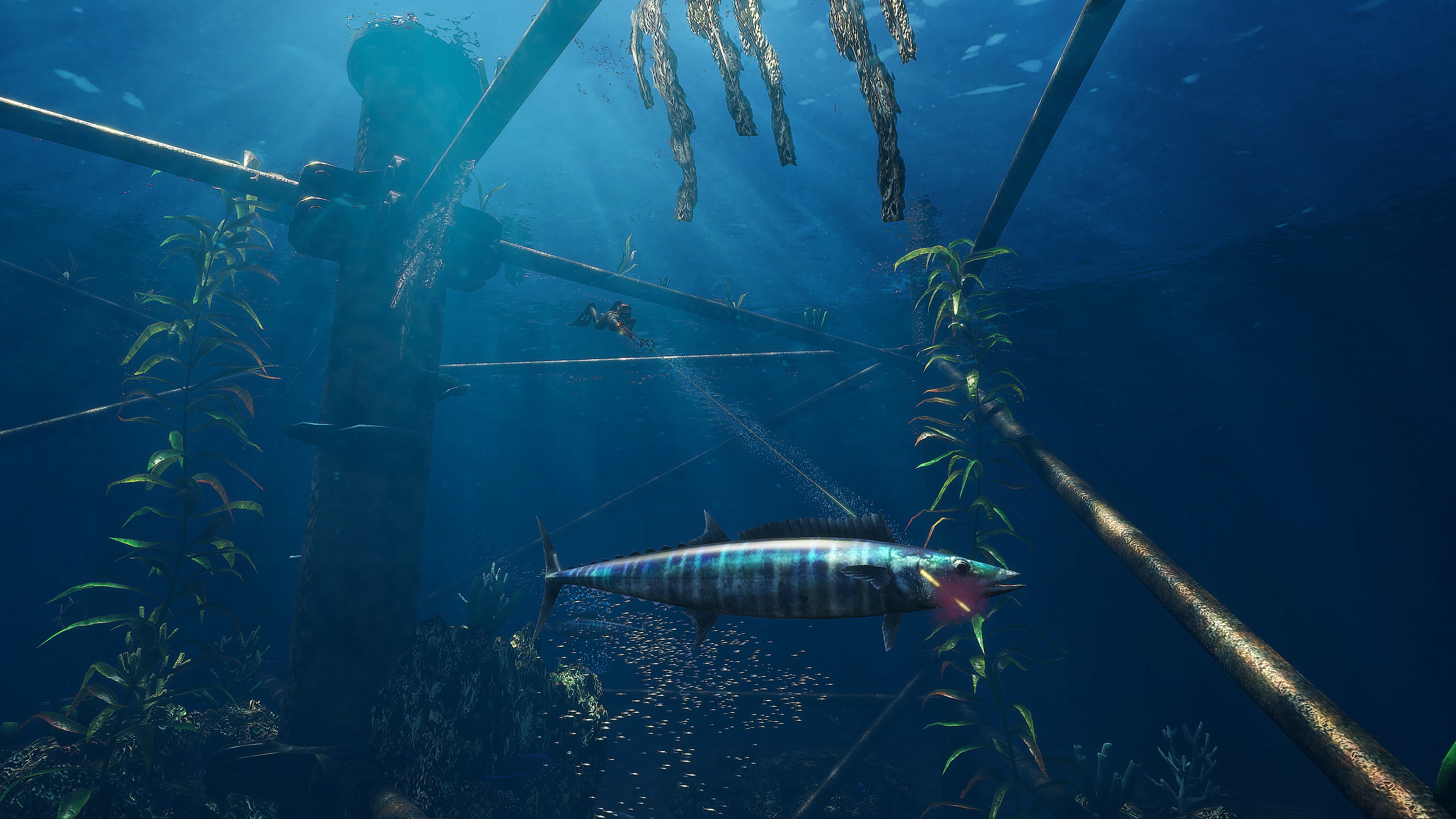 Freediving Hunter: Spearfishing the World. Изображение 3
