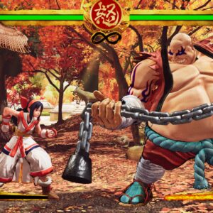 SAMURAI SHODOWN (Standard Ver.). Изображение 3