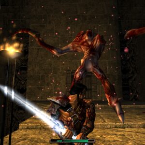 Blade of Darkness. Изображение 3