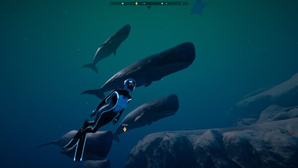 Beyond Blue. Изображение 3