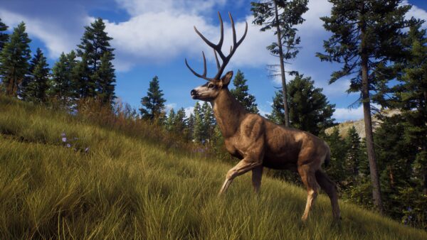 Way of the Hunter: Elite Edition. Изображение 3