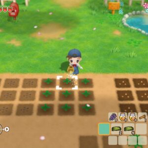 STORY OF SEASONS: Friends of Mineral Town - Digital Edition. Изображение 2