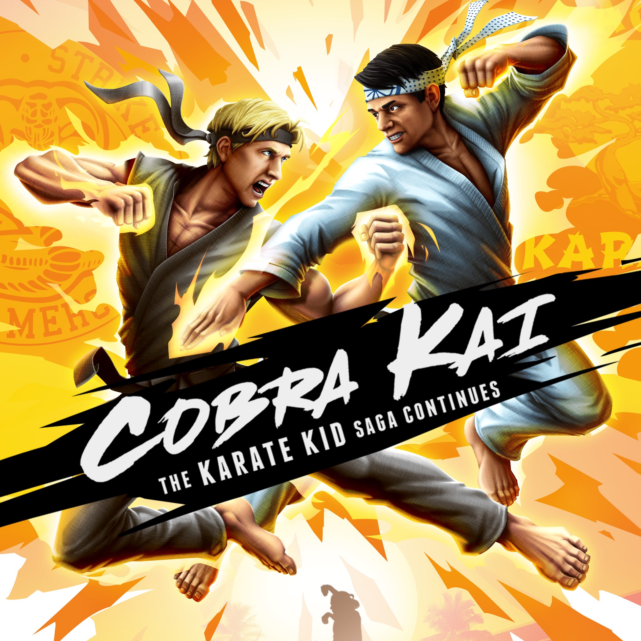 Cobra Kai: The Karate Kid Saga Continues. Изображение 1