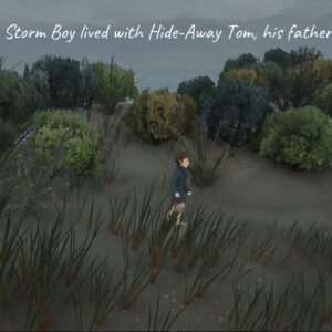 Storm Boy. Изображение 2
