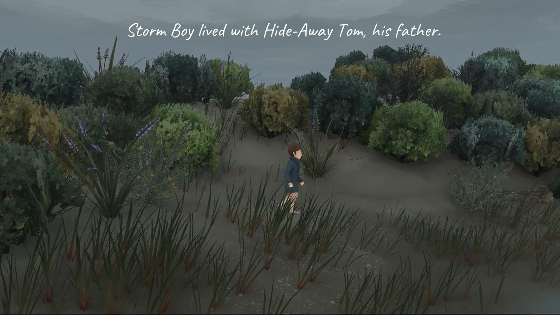 Storm Boy. Изображение 2