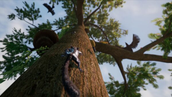 Away : The Survival Series. Изображение 4