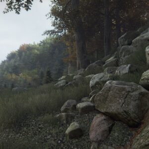 The Vanishing of Ethan Carter. Изображение 4