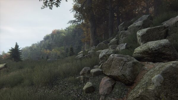 The Vanishing of Ethan Carter. Изображение 4