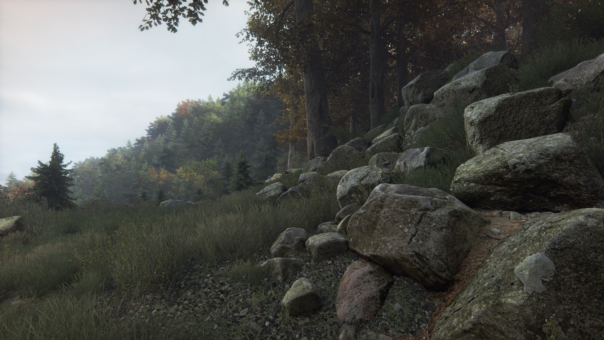 The Vanishing of Ethan Carter. Изображение 4