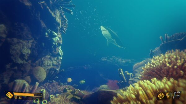 Deep Diving Adventures. Изображение 2