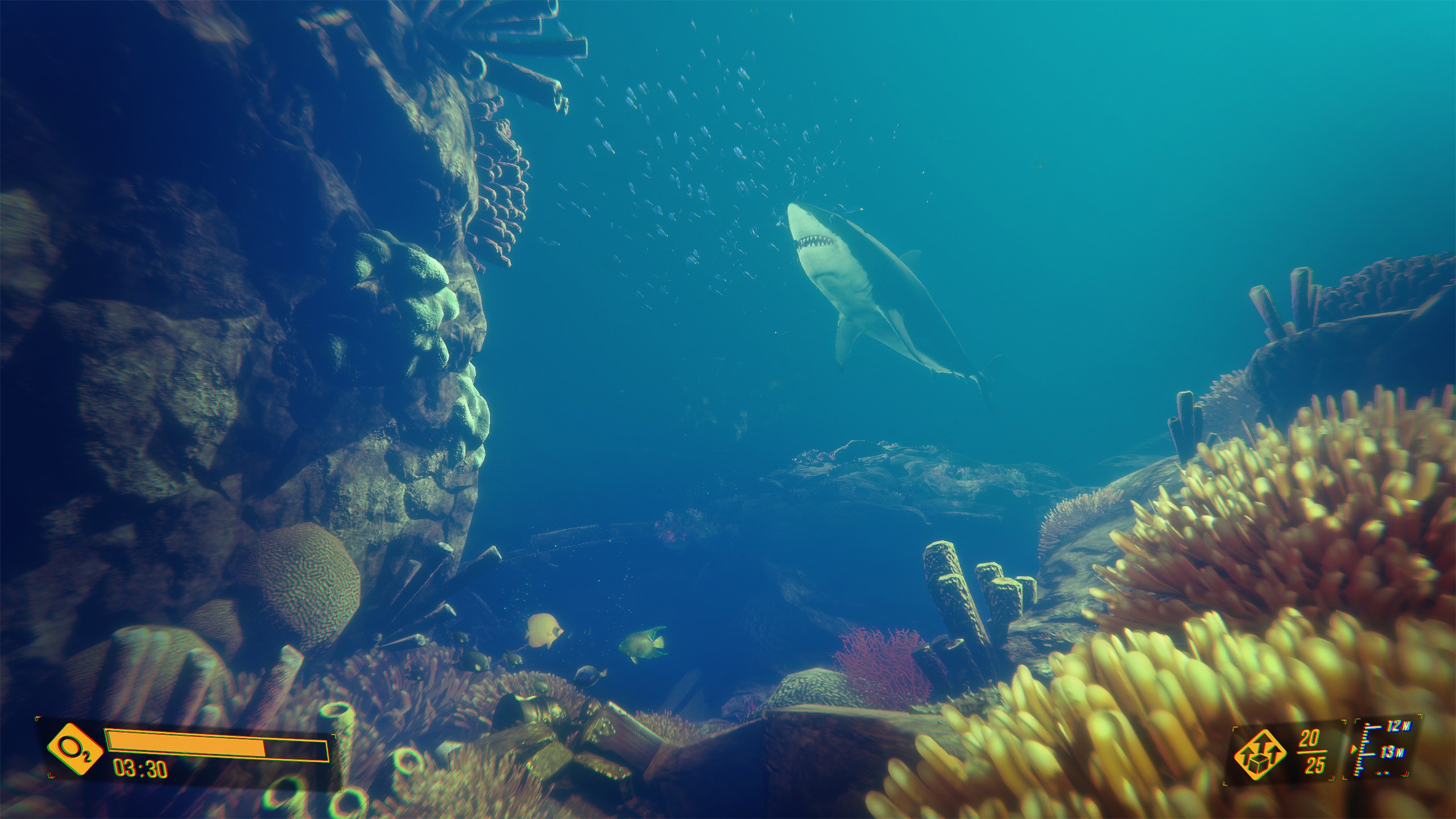 Deep Diving Adventures. Изображение 2