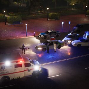 Police Simulator: Patrol Officers: Gold Edition. Изображение 3