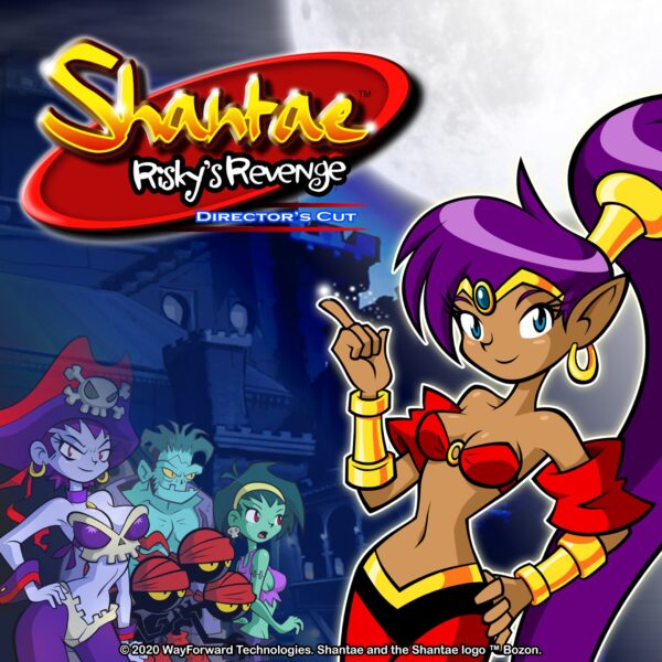 Shantae: Risky's Revenge - Director's Cut. Изображение 1