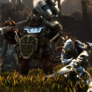 Kingdoms of Amalur: Re-Reckoning. Изображение 4