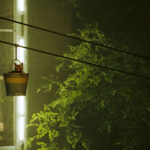 Stray. Изображение 3