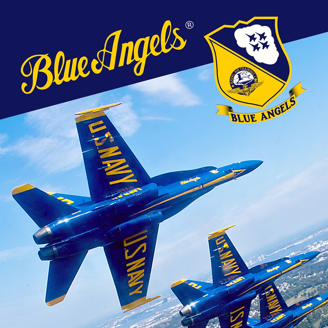 Blue Angels Aerobatic Flight Simulator. Изображение 1