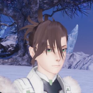 PSO2:NGS - Silver Peaks Kvaris Pack/Type 1 Edition. Изображение 3