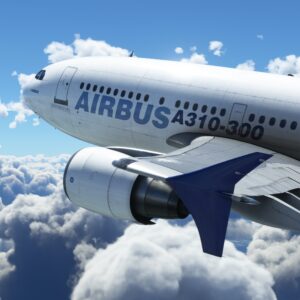 Microsoft Flight Simulator Standard 40th Anniversary Edition. Изображение 2
