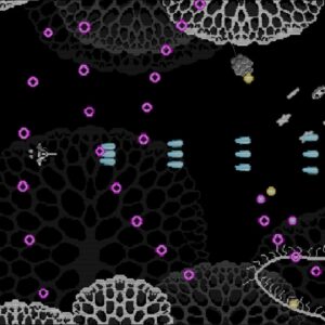 Hexapoda. Изображение 3
