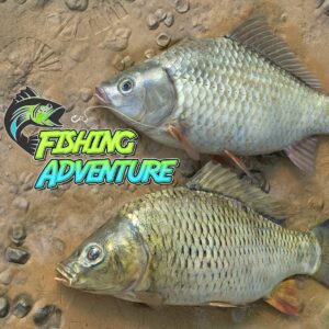 Fishing Adventure. Изображение 1