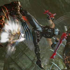 NINJA GAIDEN II. Изображение 3