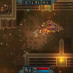 Hammerwatch. Изображение 2