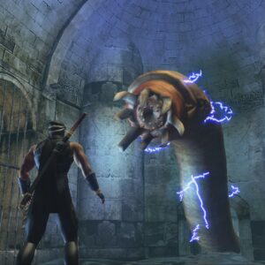 Ninja Gaiden Black. Изображение 4