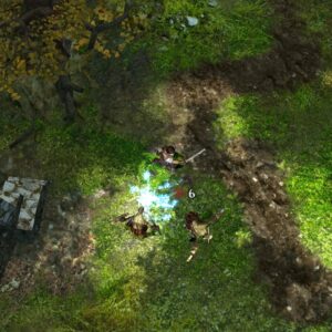 The Bard's Tale ARPG : Remastered and Resnarkled. Изображение 2