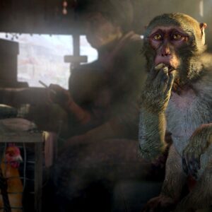 НАБОР "FAR CRY 4 + FAR CRY PRIMAL". Изображение 4