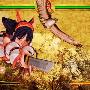 SAMURAI SHODOWN DELUXE EDITION. Изображение 2
