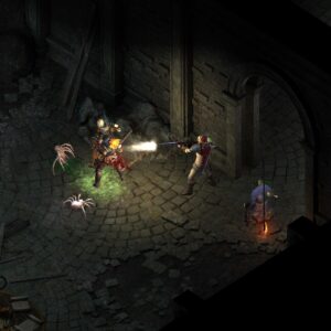 Pillars of Eternity: Complete Edition. Изображение 2