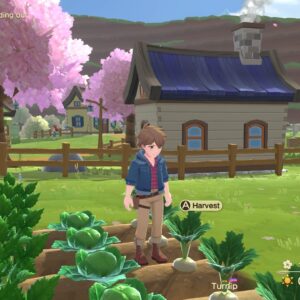 Harvest Moon: The Winds of Anthos. Изображение 2