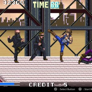 DoubleDragon Advance. Изображение 3