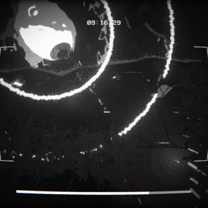 EMPTY SHELL. Изображение 2