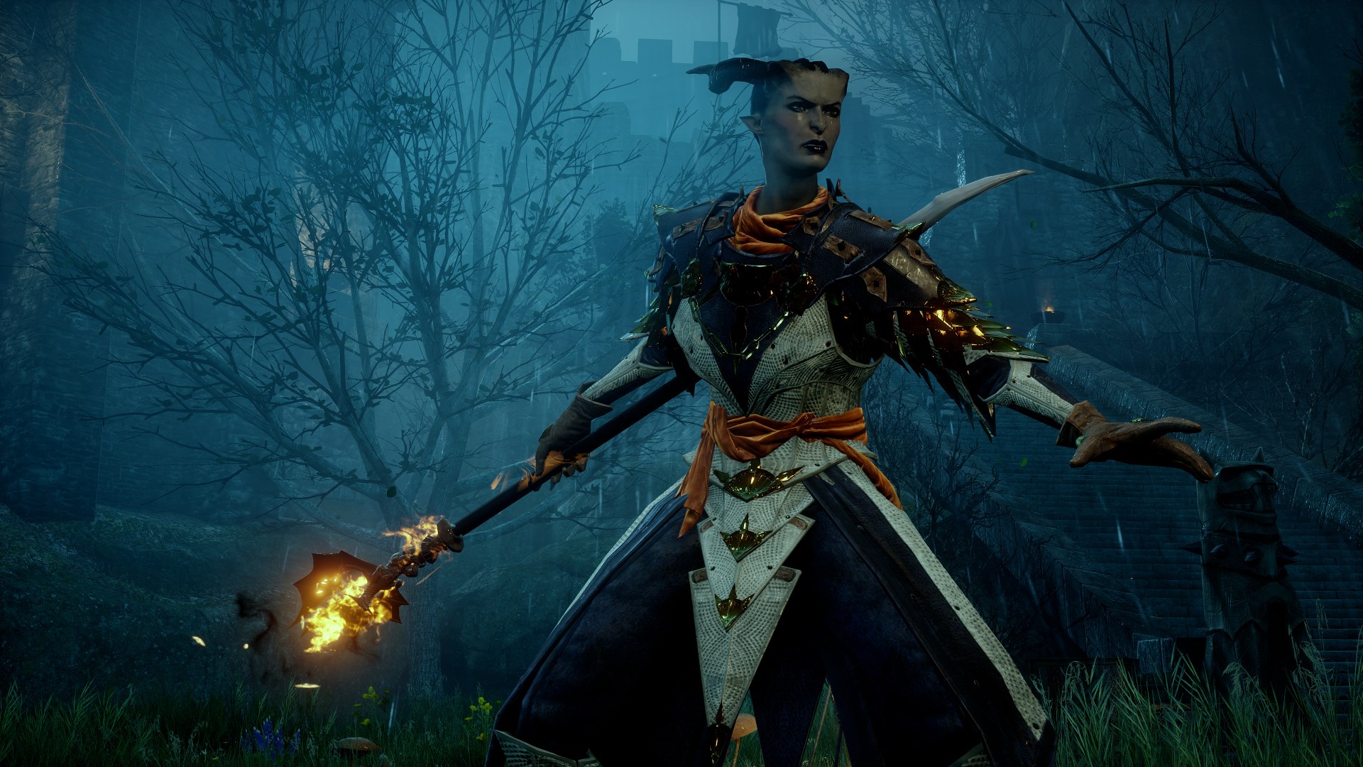 Dragon Age™: Инквизиция, выпуск Deluxe Edition. Изображение 2