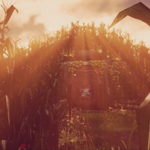 Maize. Изображение 2