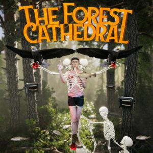 The Forest Cathedral. Изображение 1