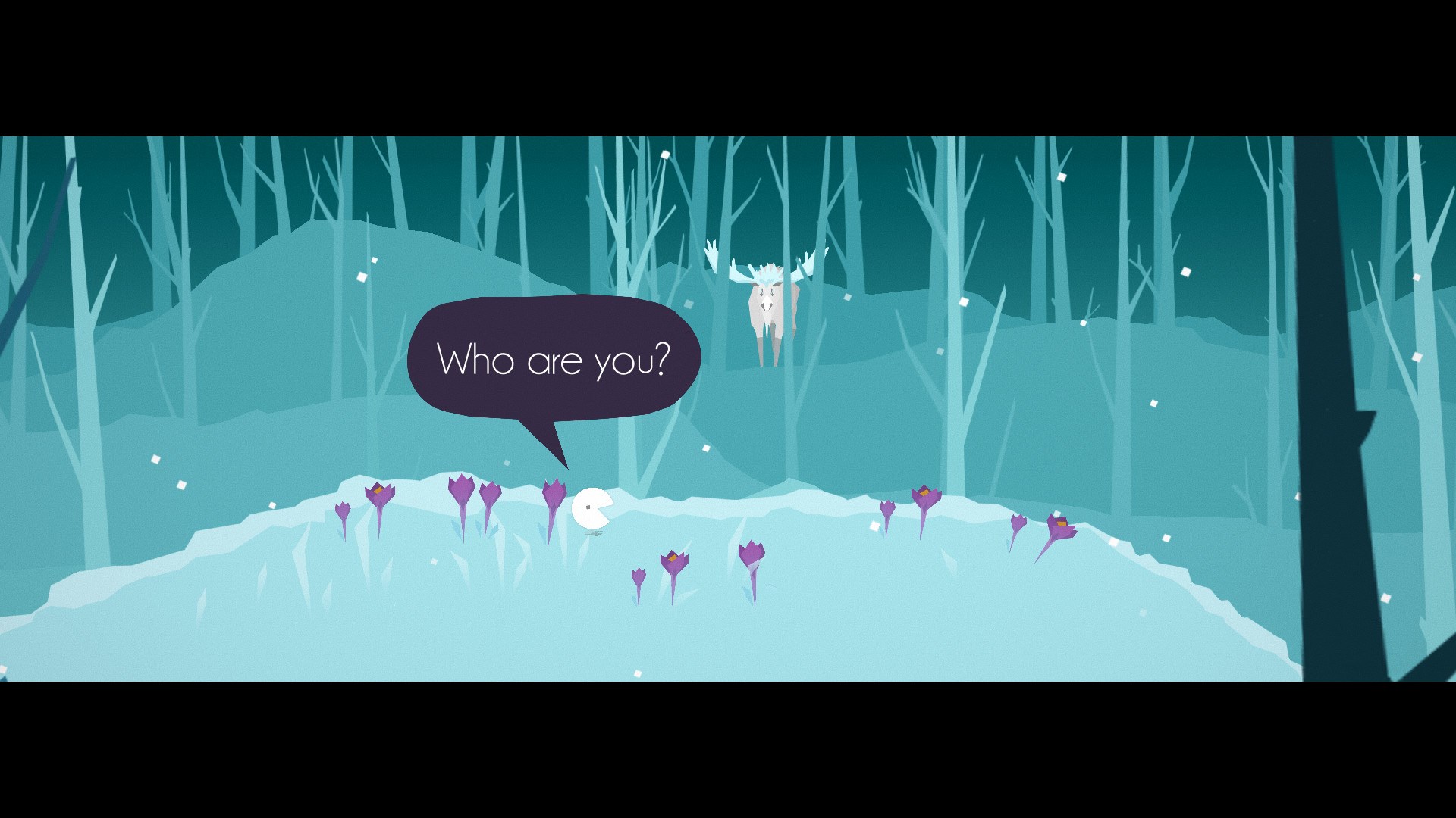 Journey of the Broken Circle. Изображение 2