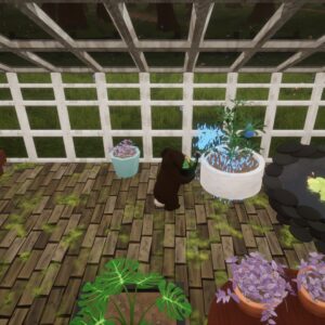 Bunhouse. Изображение 2