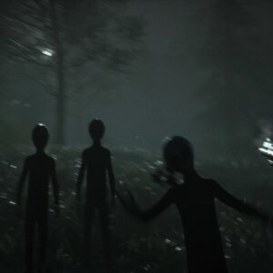 Greyhill Incident. Изображение 4