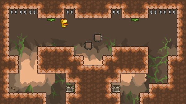 Gravity Duck. Изображение 4
