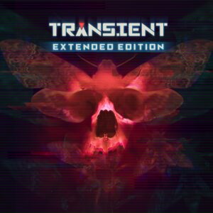 Transient. Изображение 1
