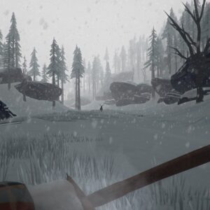 The Long Dark. Изображение 2