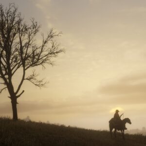 Red Dead Redemption 2: Ultimate Edition. Изображение 4