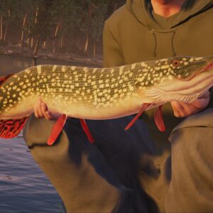 Fishing Sim World: Pro Tour + Quad Lake Pass. Изображение 4
