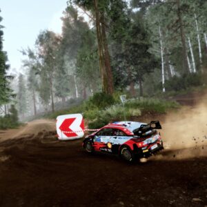 RiMS Racing x WRC 10. Изображение 3